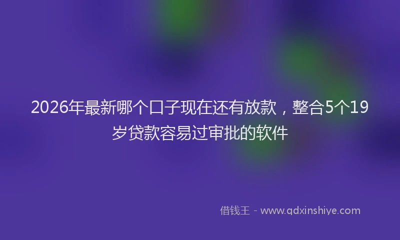 2026年最新哪个口子现在还有放款，整合5个19岁贷款容易过审批的软件