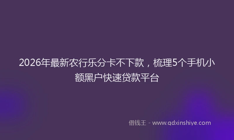2026年最新农行乐分卡不下款,梳理5个手机小额黑户快速贷款平台
