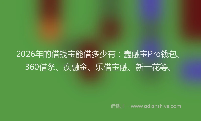 2026年的借钱宝能借多少有：鑫融宝Pro钱包、360借条、疾融金、乐借宝融、新一花等。