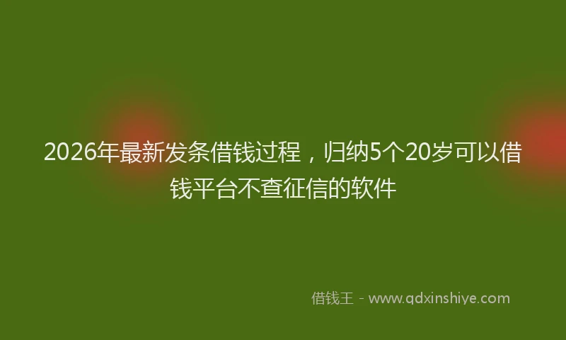 2026年最新发条借钱过程,归纳5个20岁可以借钱平台不查征信的软件