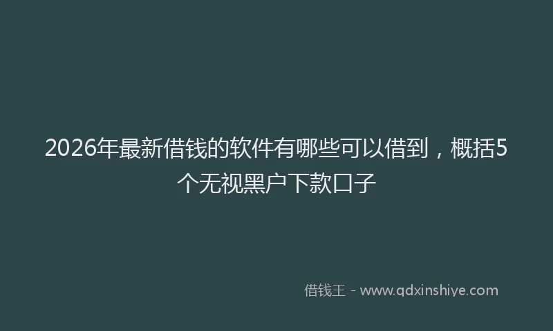 2026年最新借钱的软件有哪些可以借到，概括5个无视黑户下款口子
