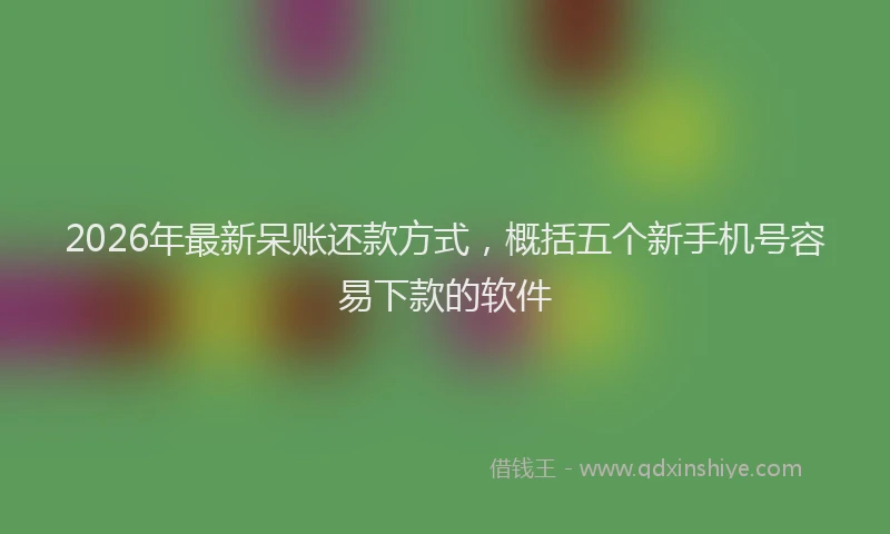 2026年最新呆账还款方式，概括五个新手机号容易下款的软件