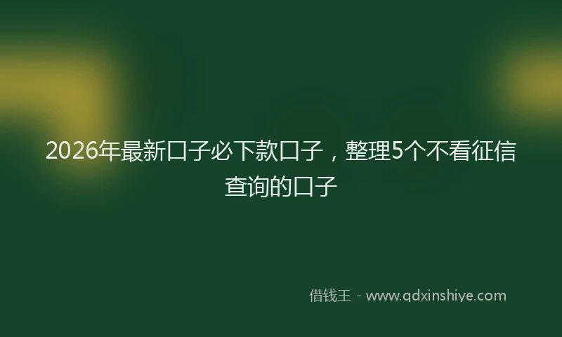 2026年最新口子必下款口子，整理5个不看征信查询的口子