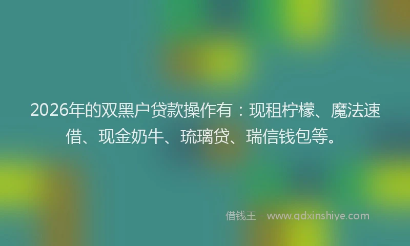 2026年的双黑户贷款操作有：现租柠檬、魔法速借、现金奶牛、琉璃贷、瑞信钱包等。