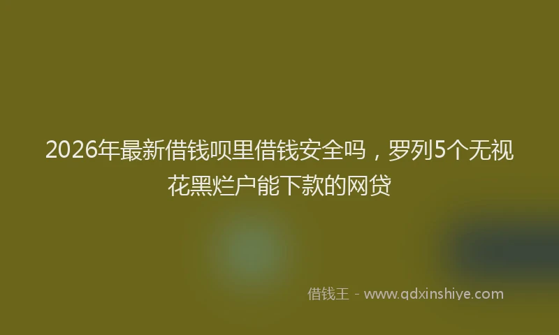 2026年最新借钱呗里借钱安全吗，罗列5个无视花黑烂户能下款的网贷