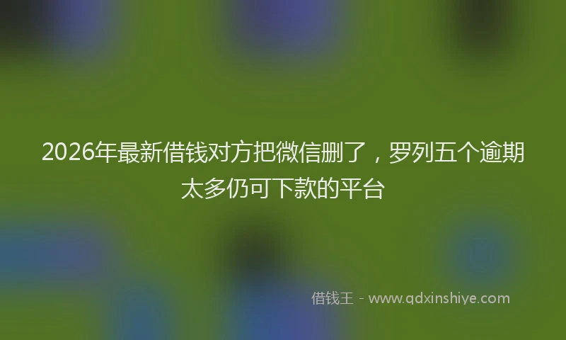 2026年最新借钱对方把微信删了,罗列五个逾期太多仍可下款的平台