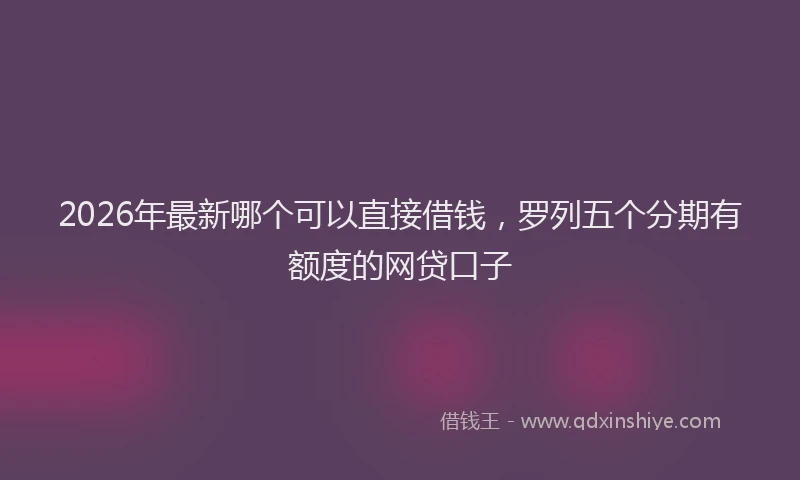 2026年最新哪个可以直接借钱，罗列五个分期有额度的网贷口子