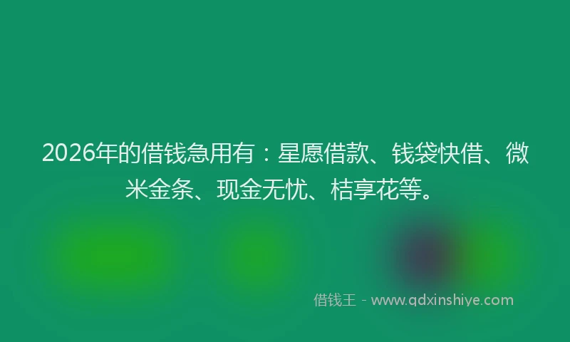 2026年的借钱急用有：星愿借款、钱袋快借、微米金条、现金无忧、桔享花等。