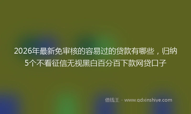 2026年最新免审核的容易过的贷款有哪些，归纳5个不看征信无视黑白百分百下款网贷口子