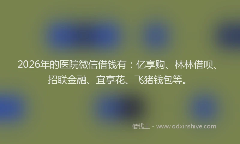 2026年的医院微信借钱有:亿享购、林林借呗、招联金融、宜享花、飞猪钱包等。