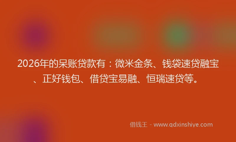 2026年的呆账贷款有：微米金条、钱袋速贷融宝、正好钱包、借贷宝易融、恒瑞速贷等。