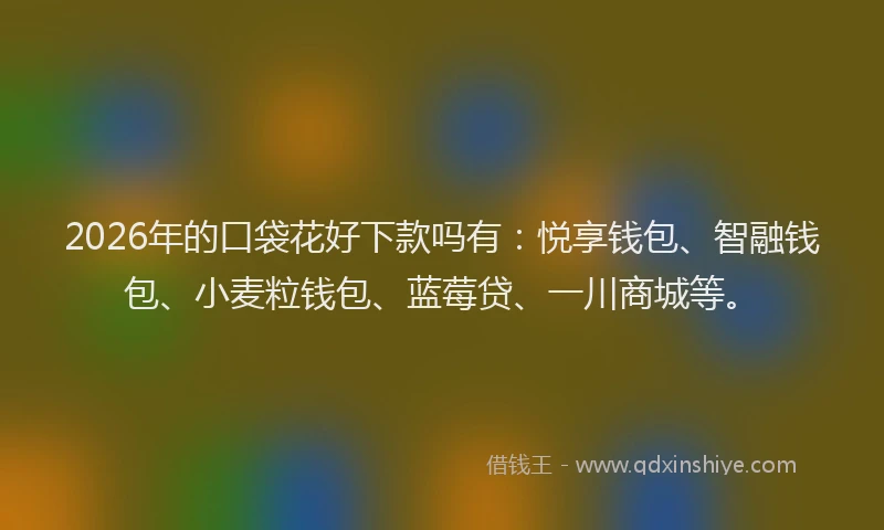 2026年的口袋花好下款吗有:悦享钱包、智融钱包、小麦粒钱包、蓝莓贷、一川商城等。