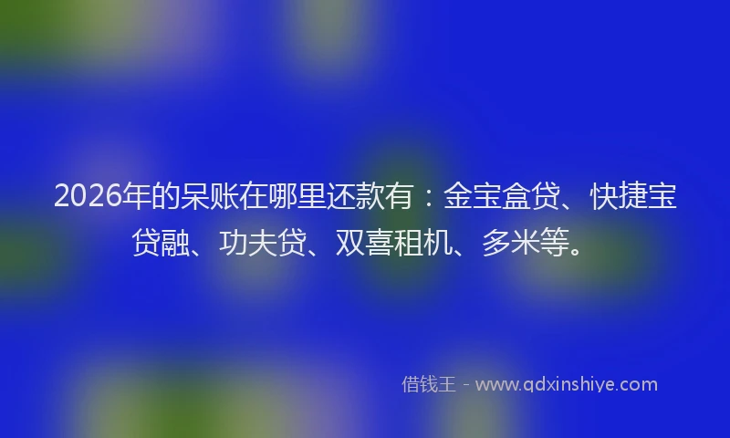 2026年的呆账在哪里还款有：金宝盒贷、快捷宝贷融、功夫贷、双喜租机、多米等。