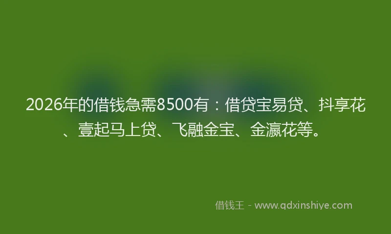 2026年的借钱急需8500有：借贷宝易贷、抖享花、壹起马上贷、飞融金宝、金瀛花等。