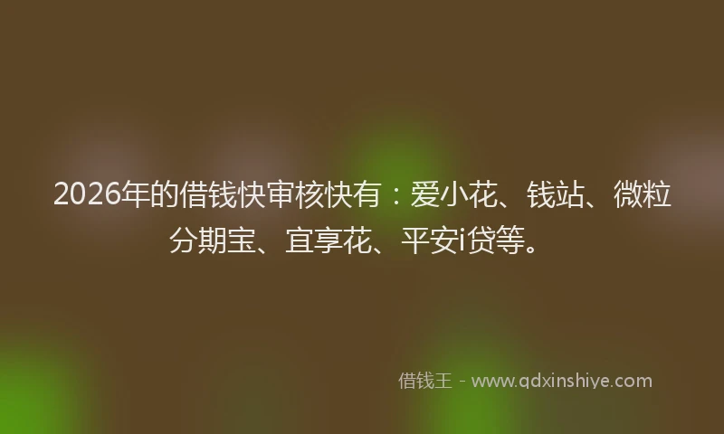 2026年的借钱快审核快有：爱小花、钱站、微粒分期宝、宜享花、平安i贷等。