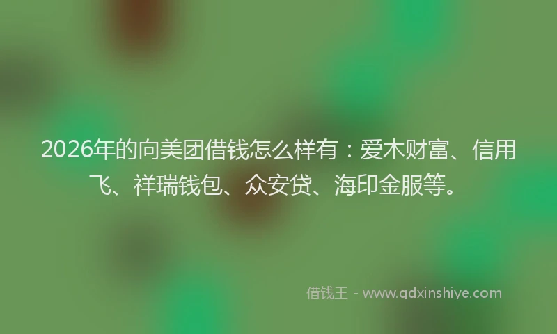 2026年的向美团借钱怎么样有：爱木财富、信用飞、祥瑞钱包、众安贷、海印金服等。