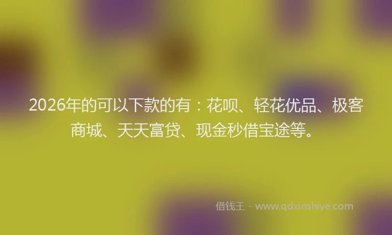 2026年的可以下款的有：花呗、轻花优品、极客商城、天天富贷、现金秒借宝途等。