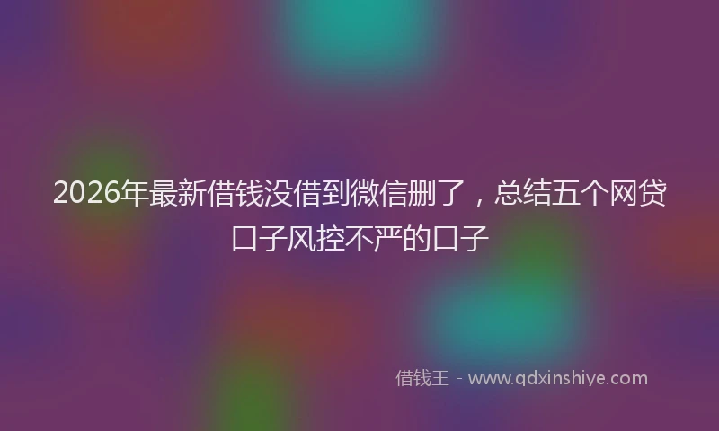 2026年最新借钱没借到微信删了,总结五个网贷口子风控不严的口子