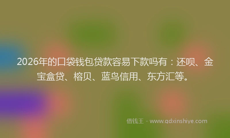 2026年的口袋钱包贷款容易下款吗有:还呗、金宝盒贷、榕贝、蓝鸟信用、东方汇等。