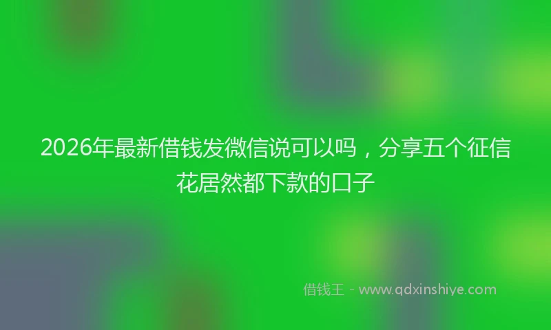 2026年最新借钱发微信说可以吗，分享五个征信花居然都下款的口子