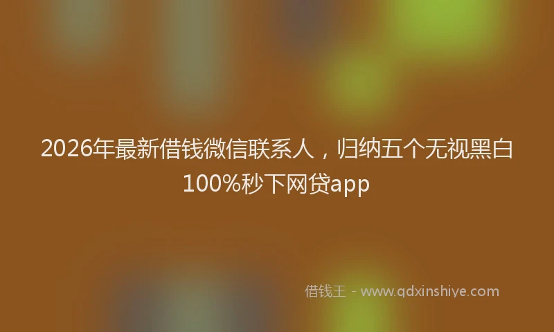 2026年最新借钱微信联系人，归纳五个无视黑白100%秒下网贷app