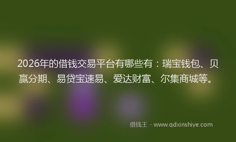 2026年的借钱交易平台有哪些有:瑞宝钱包、贝赢分期、易贷宝速易、爱达财富、尔集商城等。