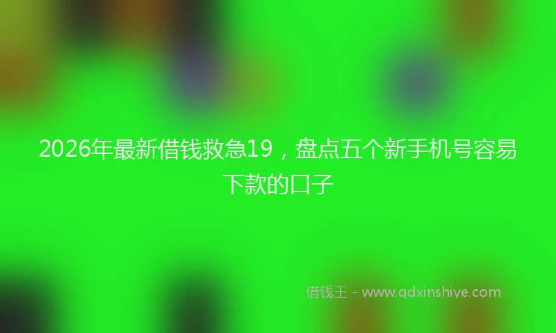 2026年最新借钱救急19，盘点五个新手机号容易下款的口子