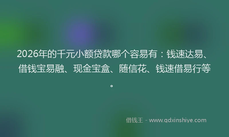 2026年的千元小额贷款哪个容易有：钱速达易、借钱宝易融、现金宝盒、随信花、钱速借易行等。