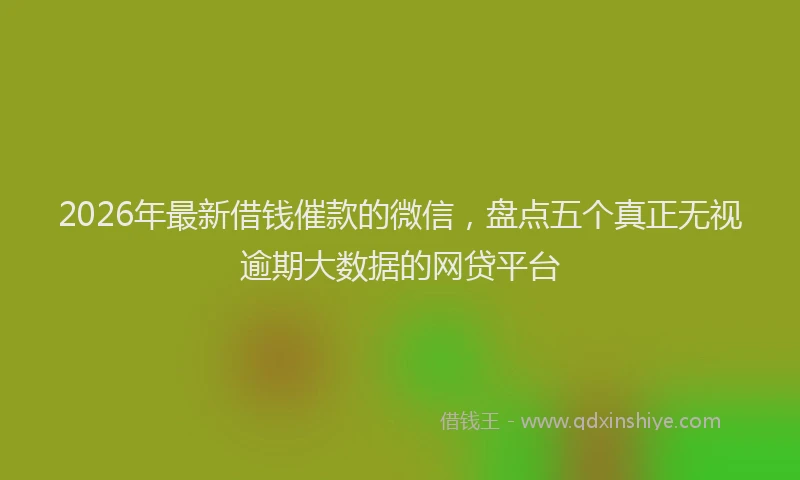 2026年最新借钱催款的微信，盘点五个真正无视逾期大数据的网贷平台