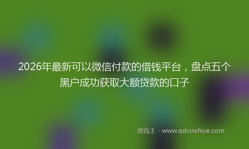 2026年最新可以微信付款的借钱平台，盘点五个黑户成功获取大额贷款的口子