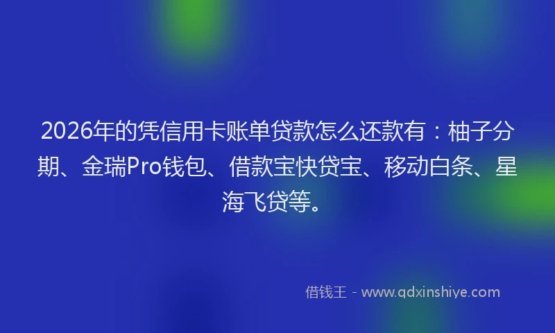 2026年的凭信用卡账单贷款怎么还款有：柚子分期、金瑞Pro钱包、借款宝快贷宝、移动白条、星海飞贷等。