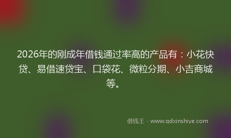 2026年的刚成年借钱通过率高的产品有：小花快贷、易借速贷宝、口袋花、微粒分期、小吉商城等。