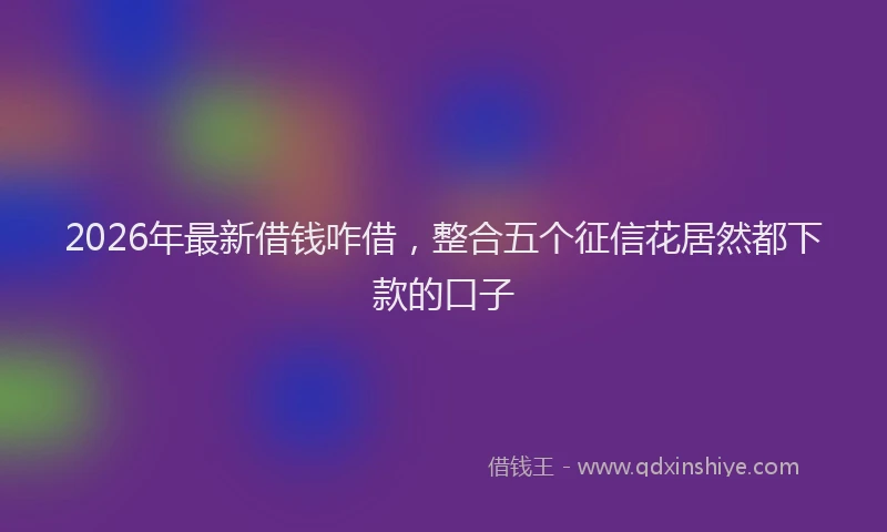 2026年最新借钱咋借,整合五个征信花居然都下款的口子