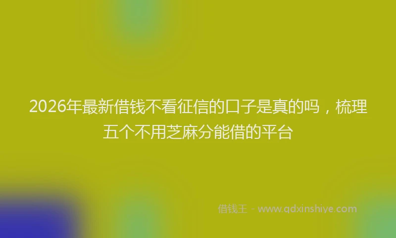 2026年最新借钱不看征信的口子是真的吗，梳理五个不用芝麻分能借的平台