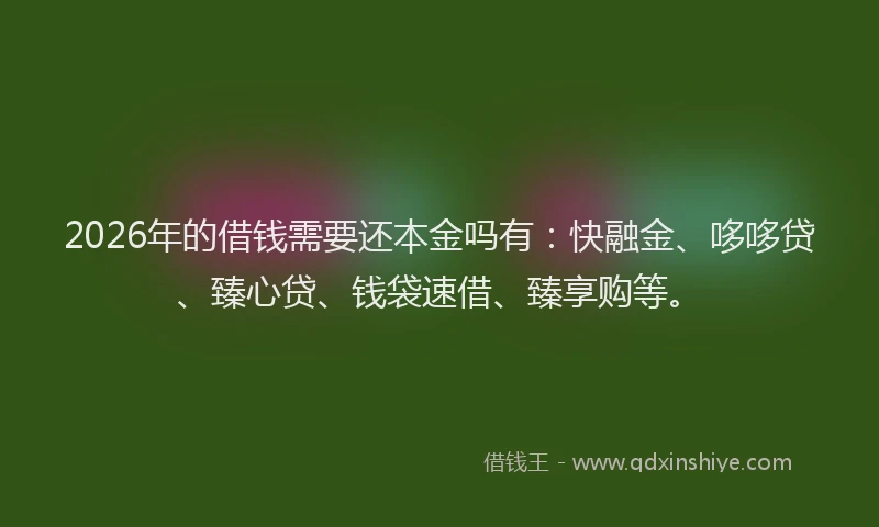2026年的借钱需要还本金吗有：快融金、哆哆贷、臻心贷、钱袋速借、臻享购等。