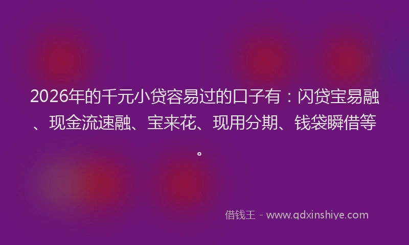 2026年的千元小贷容易过的口子有：闪贷宝易融、现金流速融、宝来花、现用分期、钱袋瞬借等。