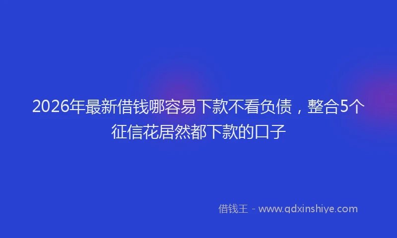 2026年最新借钱哪容易下款不看负债,整合5个征信花居然都下款的口子