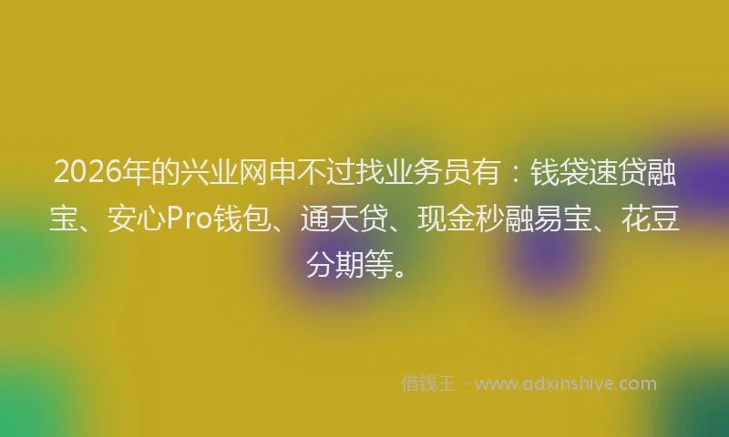 2026年的兴业网申不过找业务员有：钱袋速贷融宝、安心Pro钱包、通天贷、现金秒融易宝、花豆分期等。