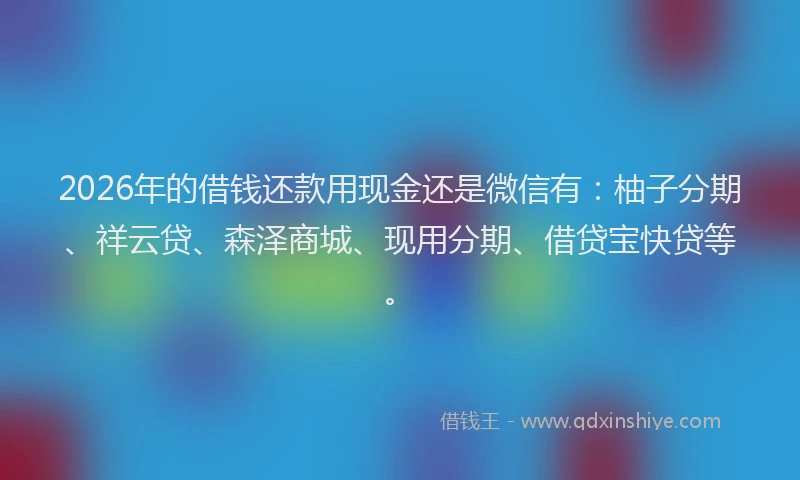 2026年的借钱还款用现金还是微信有：柚子分期、祥云贷、森泽商城、现用分期、借贷宝快贷等。