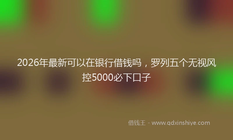 2026年最新可以在银行借钱吗，罗列五个无视风控5000必下口子