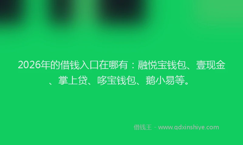 2026年的借钱入口在哪有:融悦宝钱包、壹现金、掌上贷、哆宝钱包、鹅小易等。