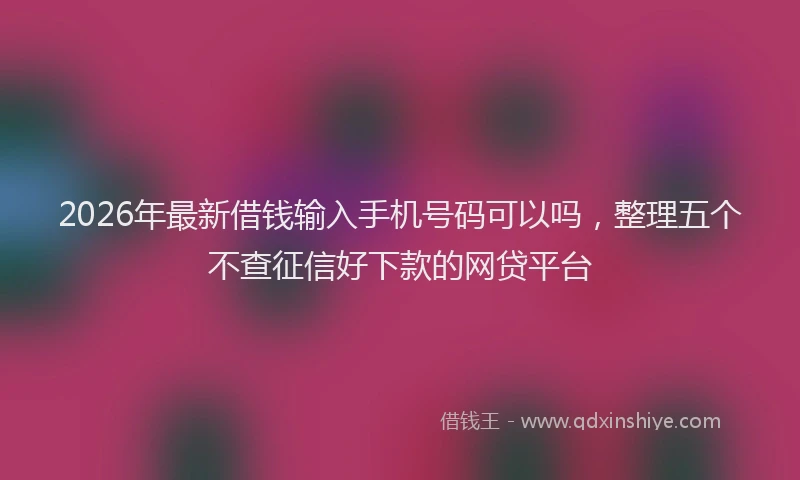 2026年最新借钱输入手机号码可以吗，整理五个不查征信好下款的网贷平台