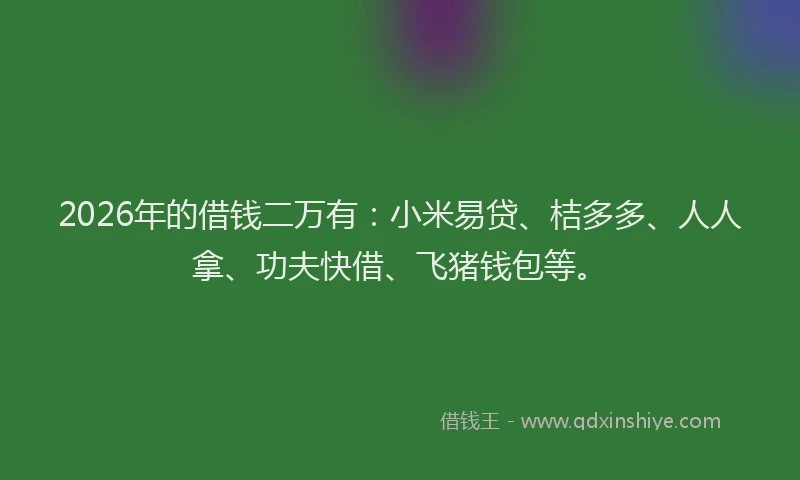 2026年的借钱二万有:小米易贷、桔多多、人人拿、功夫快借、飞猪钱包等。