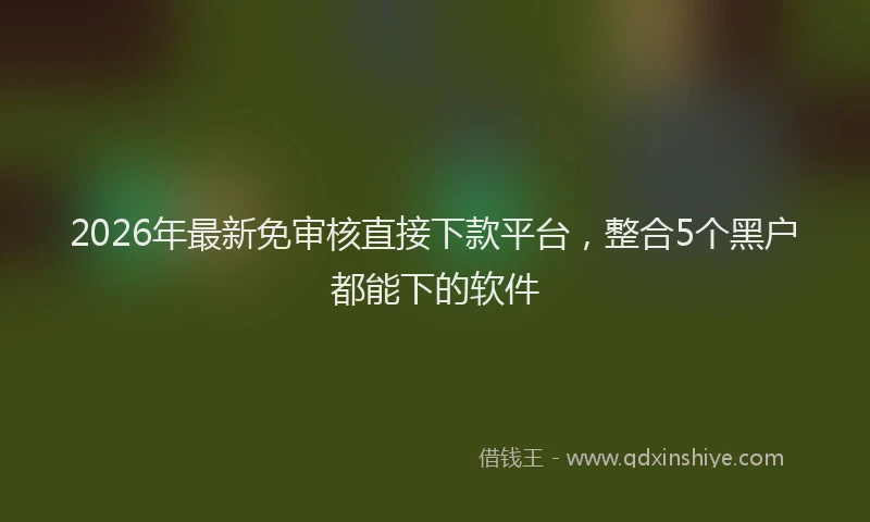 2026年最新免审核直接下款平台，整合5个黑户都能下的软件