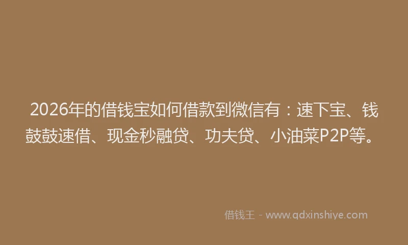 2026年的借钱宝如何借款到微信有：速下宝、钱鼓鼓速借、现金秒融贷、功夫贷、小油菜P2P等。