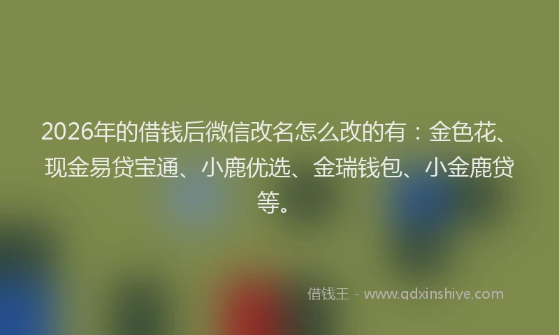 2026年的借钱后微信改名怎么改的有:金色花、现金易贷宝通、小鹿优选、金瑞钱包、小金鹿贷等。