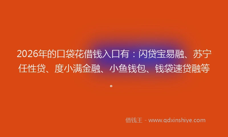 2026年的口袋花借钱入口有:闪贷宝易融、苏宁任性贷、度小满金融、小鱼钱包、钱袋速贷融等。
