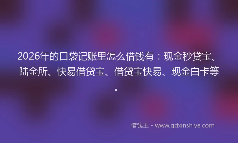 2026年的口袋记账里怎么借钱有:现金秒贷宝、陆金所、快易借贷宝、借贷宝快易、现金白卡等。