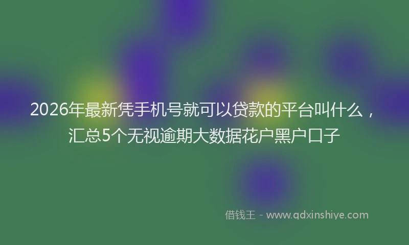 2026年最新凭手机号就可以贷款的平台叫什么,汇总5个无视逾期大数据花户黑户口子