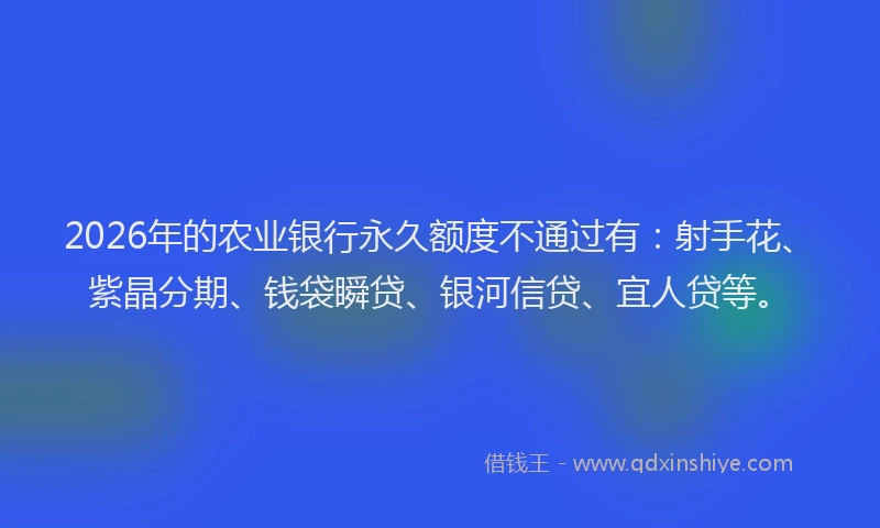 2026年的农业银行永久额度不通过有：射手花、紫晶分期、钱袋瞬贷、银河信贷、宜人贷等。